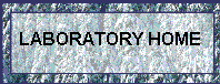 WB01712_3.gif (12769 bytes)
