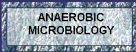 WB01712_3.gif (12769 bytes)